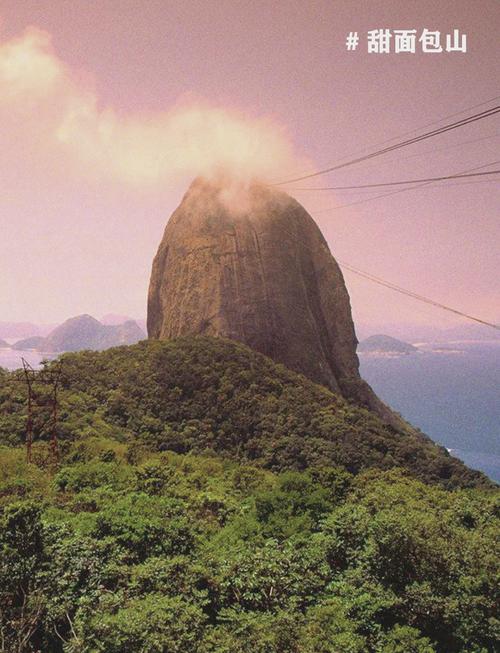 quando-é-necessário-fazer-sangria - Tendências de apostas no Brasil