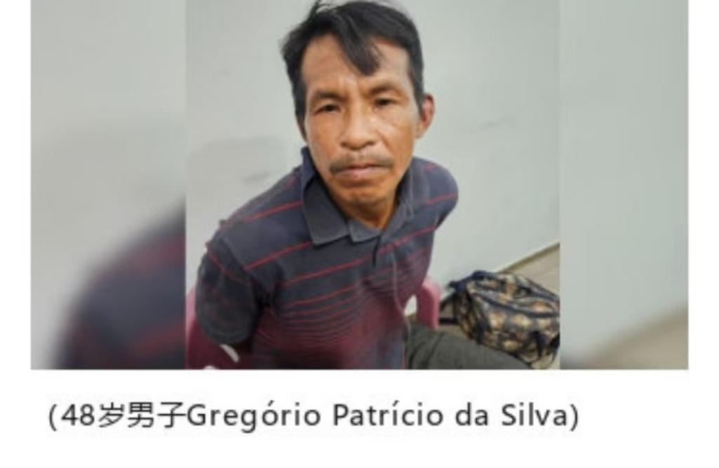 elo-bet - Mercado de apostas brasileiro