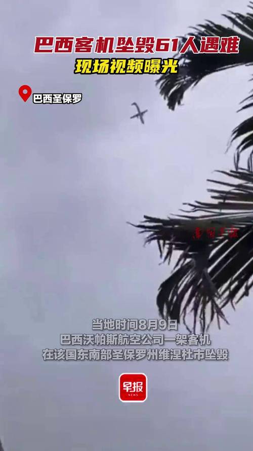 brasil-bet - Mercado de apostas brasileiro